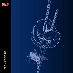 Premiere: DJ P ‘If You Want (You're New Alarm)’
