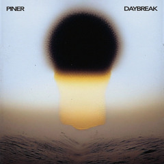 Piner - Implicit Messages [White Owl]