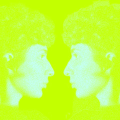 a blossoming flower (dubstep mix)