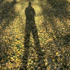 Long Bay Drive (Mastered).m4a