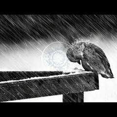 Wie soll ein Mensch das ertragen (WhyAsk! Hardtekk Bootleg)