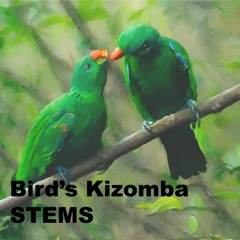 Birds Kizomba Official Mix