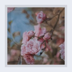 If you like sunset lover you'll prolly like this