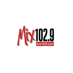 KDMX (Mix 102.9) - Reelworld - 2009 (KHMX Female Version)