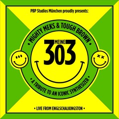 Meine 303 (März Edit)