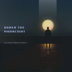 Under the Moonlight