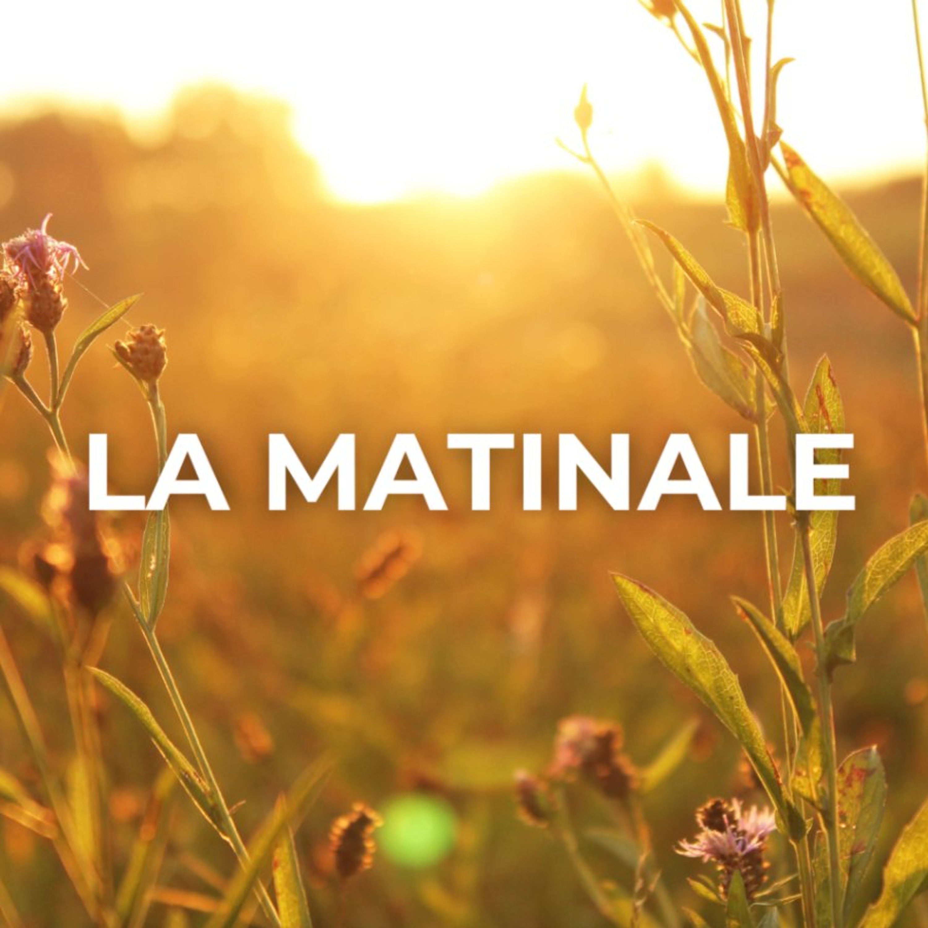 22102026 La Matinale