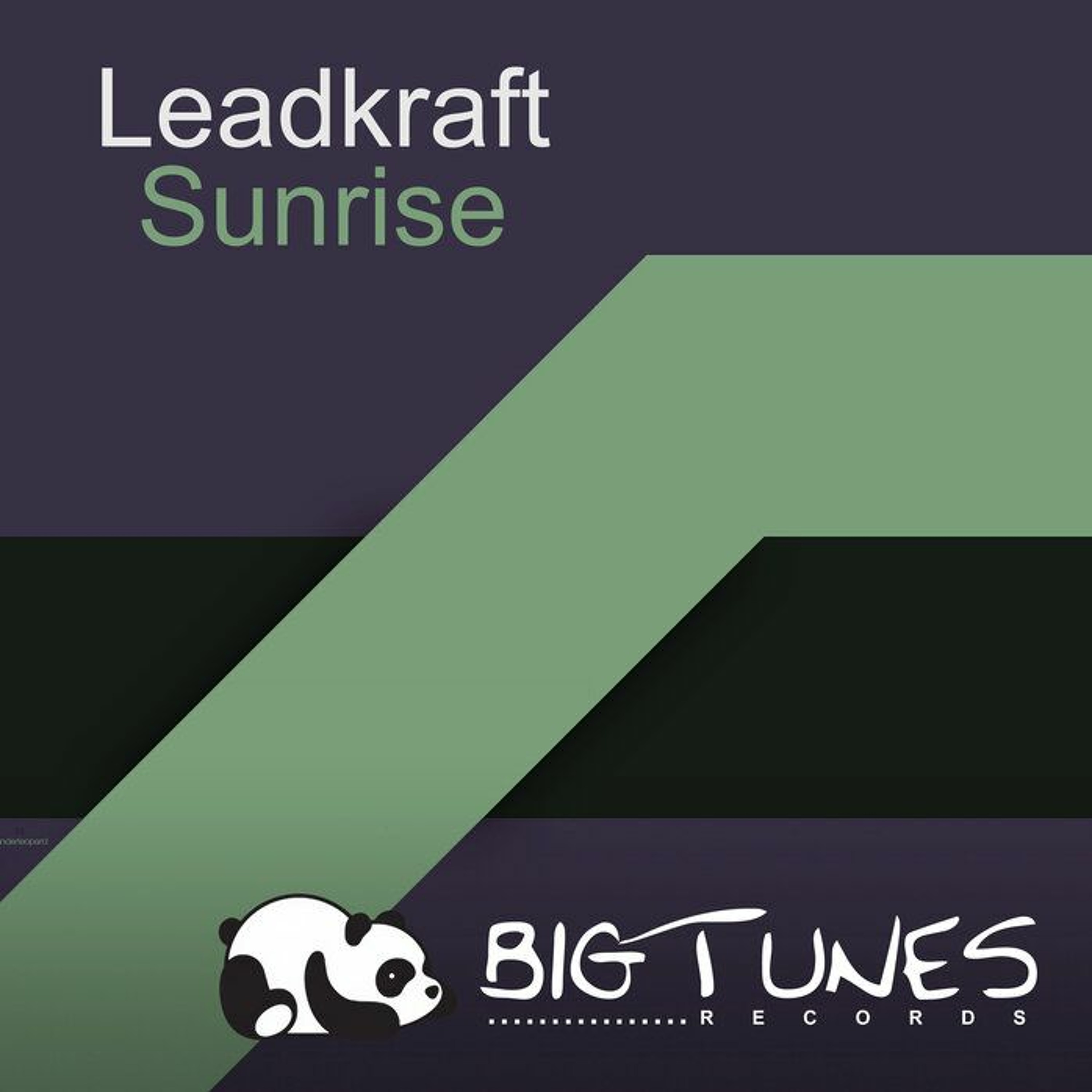 Leadkraft