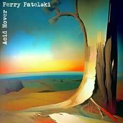 Perry Patelski - Acid Mover