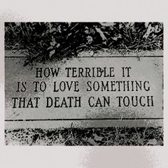 how terrible it is to love something that death can touch