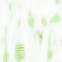 I can not see you anymore