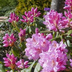 Hugh Grant & Haley Bennett - Way Back into Love, lovely piano