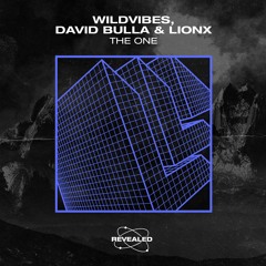 WildVibes, David Bulla & LionX - The One (Radio Edit)