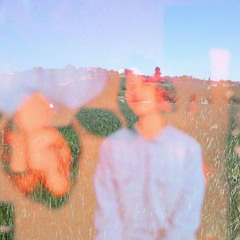 Salice (Rarità, 2017)