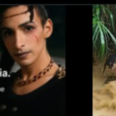 [New Vídeo] completo 18++} sara millerey gonzález video de sara millerey sara millerey gonzalez borja Original news