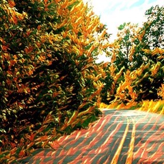 The Eternal Road