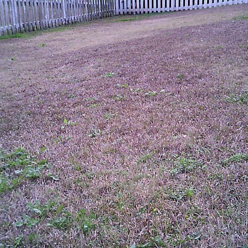 MORE You Crashed My Drone Into Some Sludge