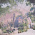Artwork for akari明 x solace - aviary