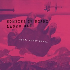 Laser Cat (Borja Moskv Remix)
