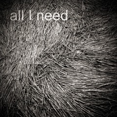 all I need (Radiohead rework)