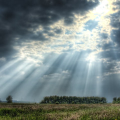Shine (Radio Edit)