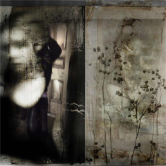 burn together prod milleniumfalcom300