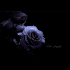 Nightmare (feat. Hunaver(허너버))