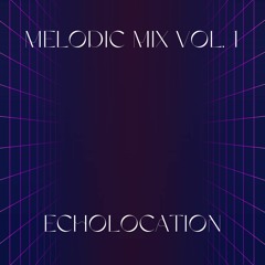 Echolocation - Melodic Mix Vol. 1