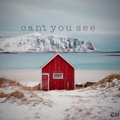 can't you see ( Deep House )