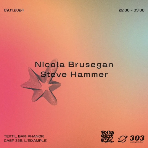 Nicola Brusegan & Steve Hammer live @ 303 audiophile