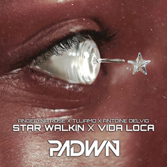Star Walkin X Vida Loca (PADWN Mashup)