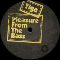 TIGA -PLEASURE FROM THE BASS (PREMIER REGARD DEEP VISION REMIX)