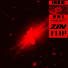 WINK - NuKid (ZIN Flip)