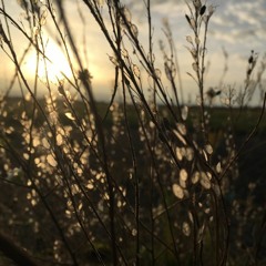 masturbationsong with Serafino