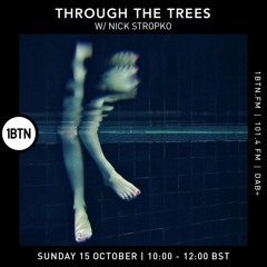 Ty - Through the Trees feat. Nick Stropko 15.10.23.