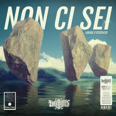 NON CI SEI - LARAGE X CESCO420