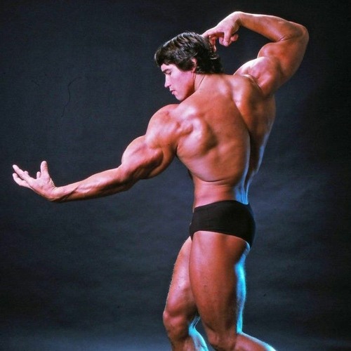 Arnold Schwarzenegger x one chance moondeity slowed