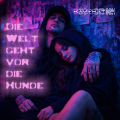 Die Welt geht vor die Hunde