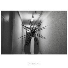 PLUIT - Phantom