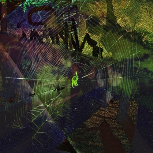 shawdy Go (prod. shawdyGo)