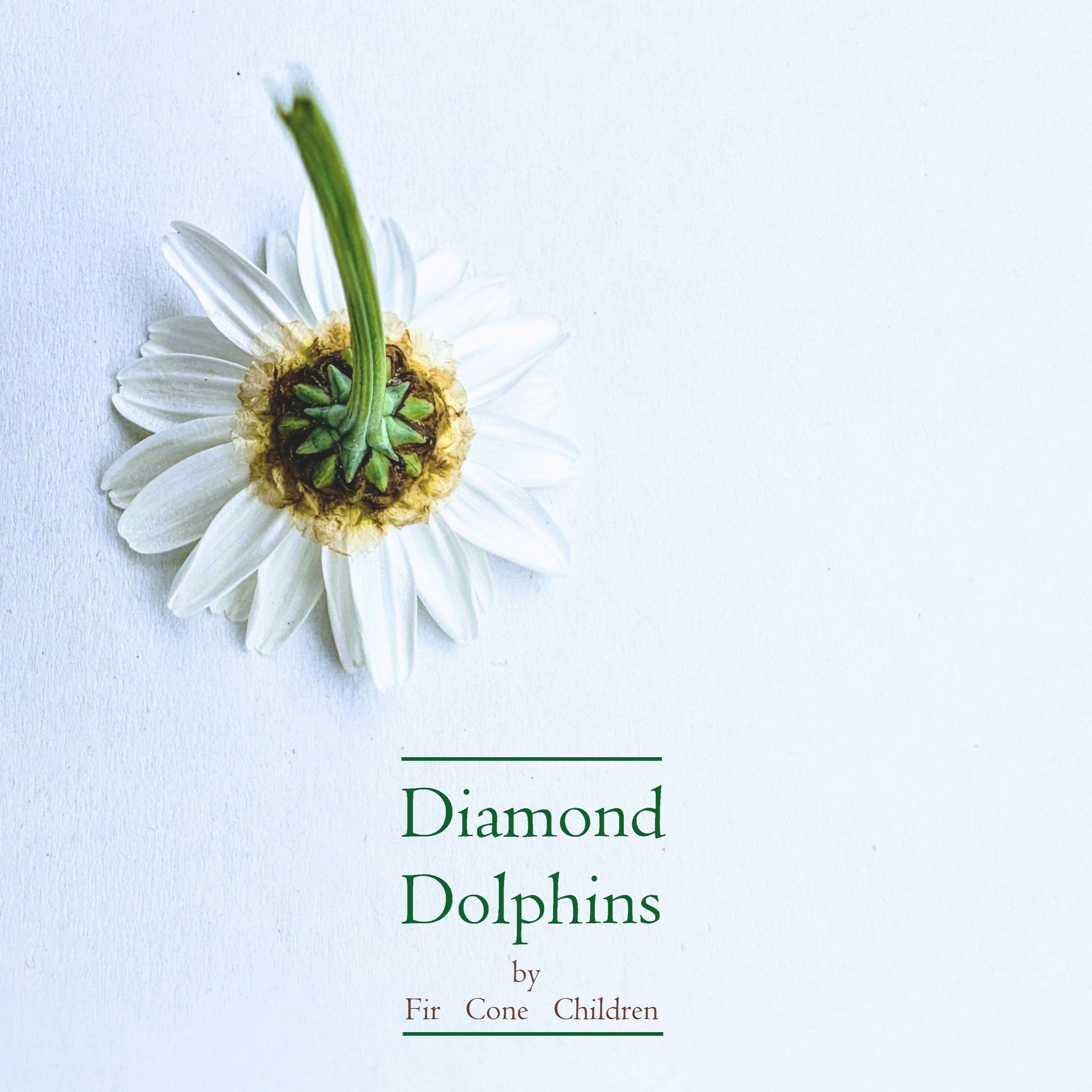 Fir Cone Children - Diamond Dolphins episode artwork