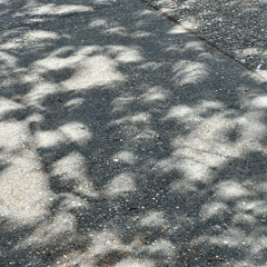 The Story of Bean and Bernard