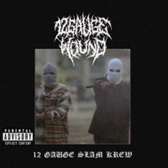 12 GAUGE WOUND- BOTTOM OF THE BARRELL