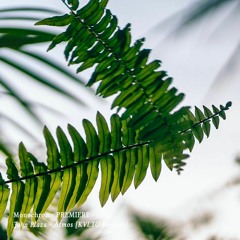 𝐏𝐑𝐄𝐌𝐈𝐄𝐑𝐄 : John Plaza - Atmos [KVLTÖ Records]