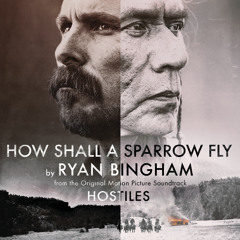 How Shall a Sparrow Fly