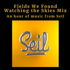 Fields We Found 'Watching The Skies' Mix (Seil Records showcase)