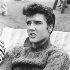 blue suede shoes (cover)