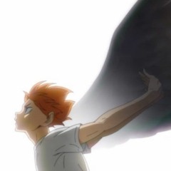 PHOENIX HAIKYUU left right