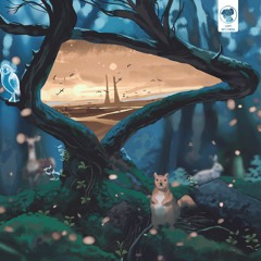 Nadav Cohen - Stories from another world