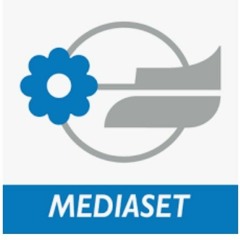 mediaset group talpa network wise buddah jingles